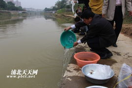 生態(tài)修復(fù)，漁業(yè)振興——浦北縣水產(chǎn)畜牧獸醫(yī)局成功舉辦漁業(yè)資源人工增殖放流活動(dòng)