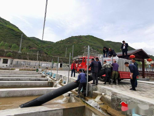 市漁業(yè)站引進(jìn)新品種傳授新技術(shù)，助推畜牧漁業(yè)飼料銷(xiāo)售新格局